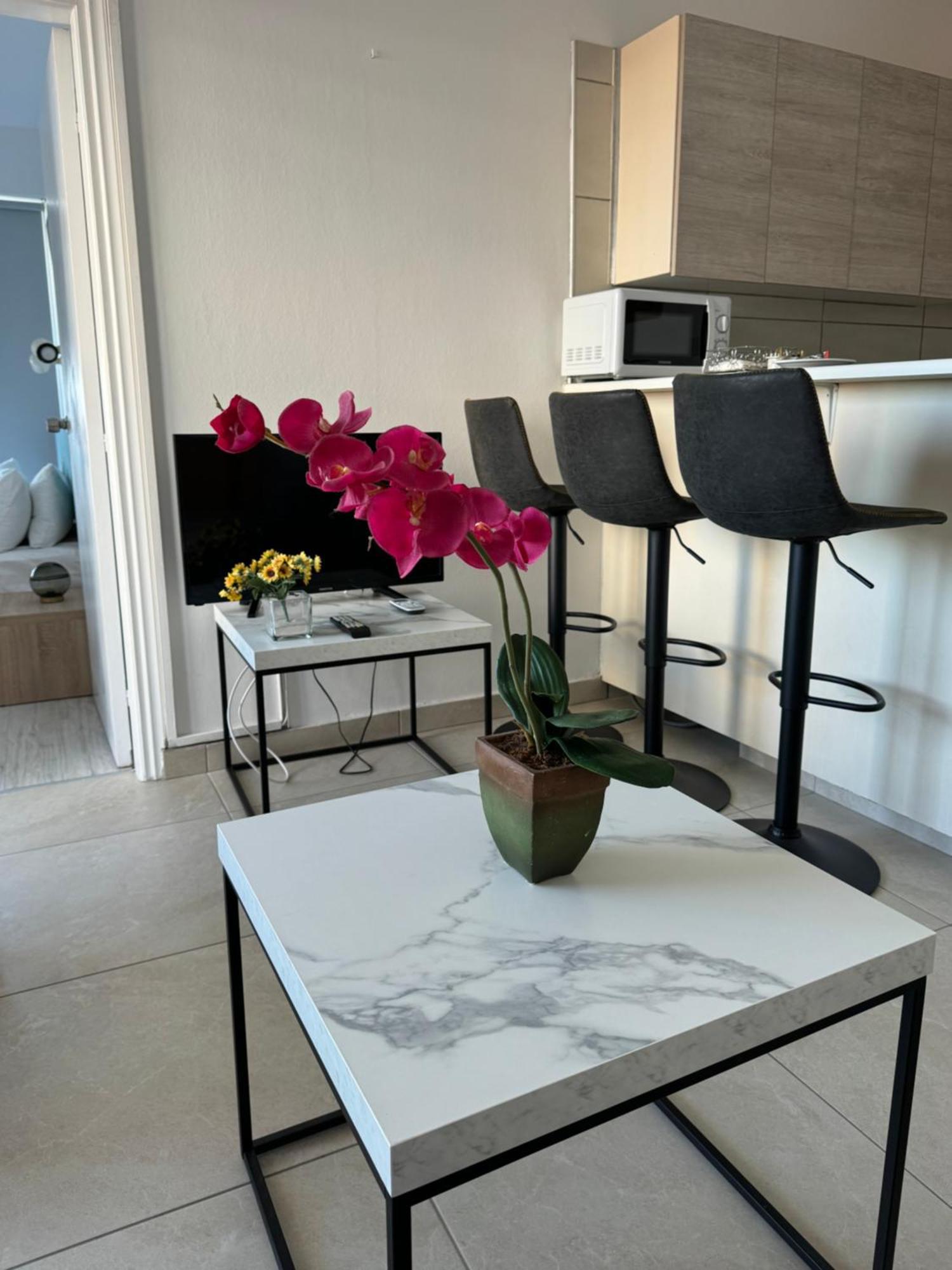 Alex 203 Appartement *
